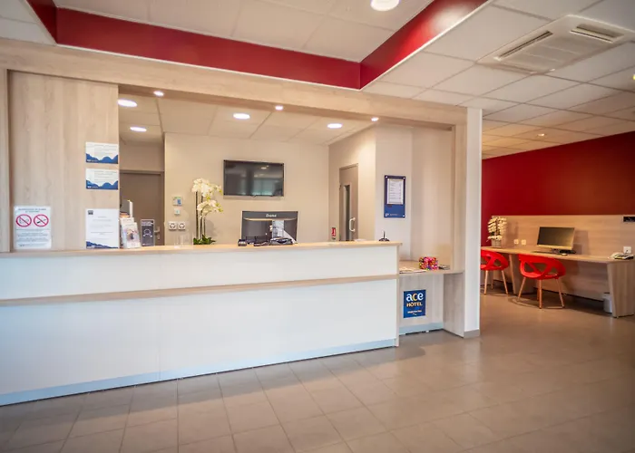 Ace Bordeaux Blanc Carbon-Blanc